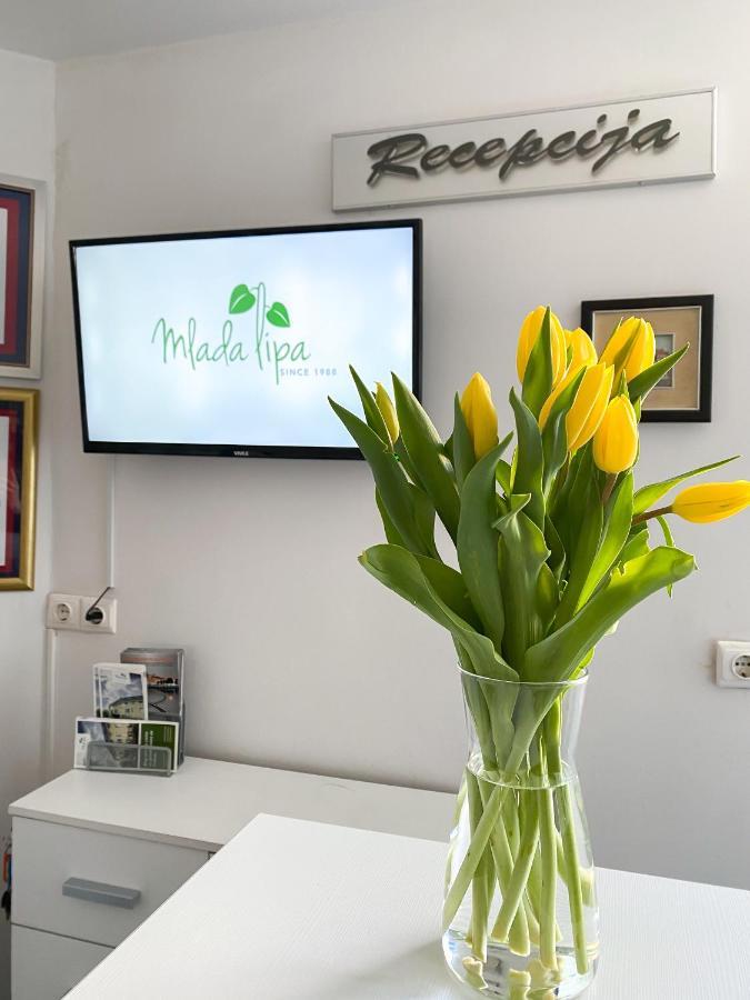 Guest House Mlada Lipa มาริบอร์ ภายนอก รูปภาพ
